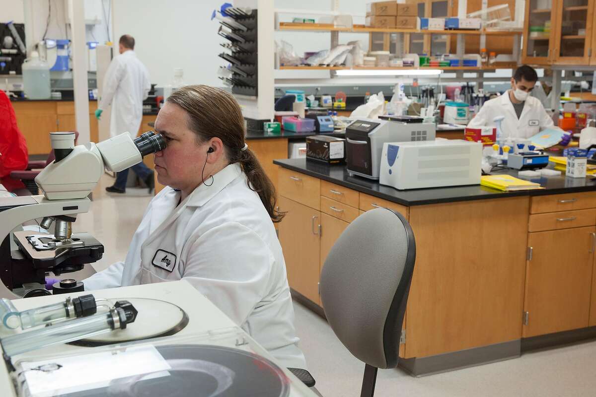 Criminalist with the State of California Department of Justice Bureau of Forensic Services examines possible DNA evidence in the Case Work Extraction lab at the State DNA Laboratory in Richmond, California, USA 26 Feb 2016. 