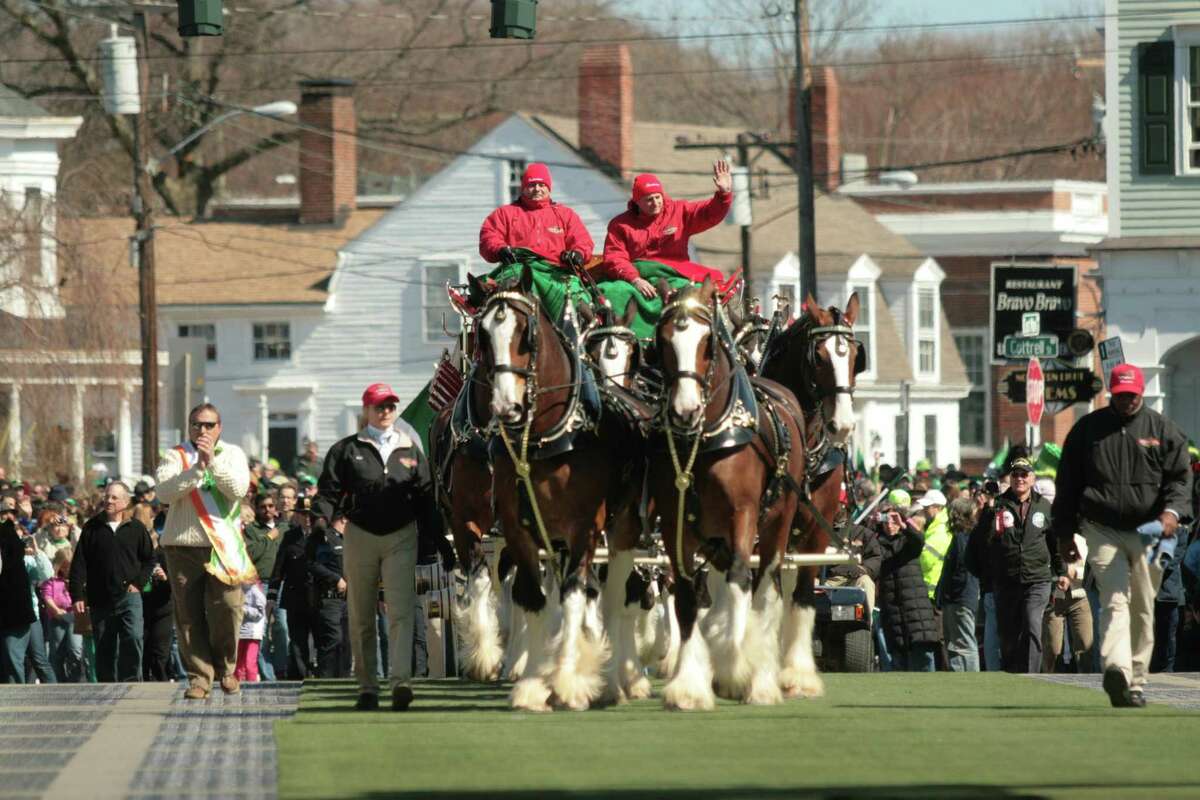 ONE MORE PARADE: The world-famous Clydesdales will participate in the Mystic Irish Parade Sunday, March 25, at 1 p.m. on Main Street for the first time in 10 years.