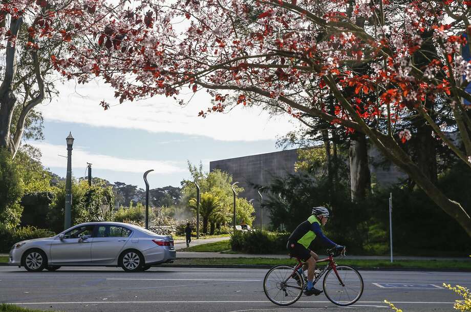 A person cycles past two cherry blossom trees along John F. Kennedy Drive in Golden Gate Park Wednesday, Feb. 14, 2018 in San Francisco, Calif. Photo: Jessica Christian / The Chronicle
