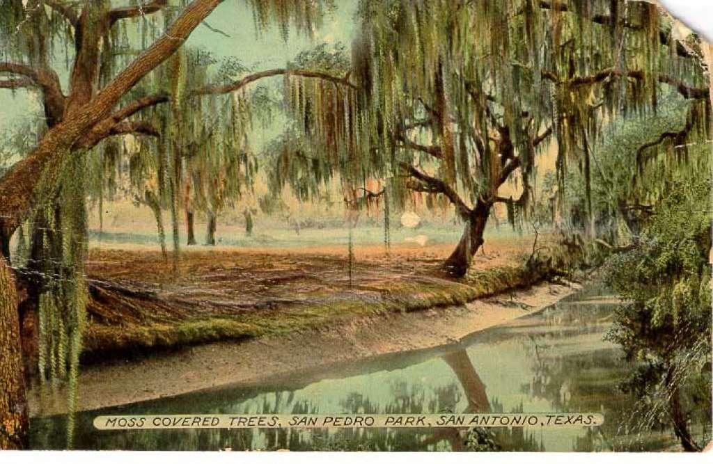 Tossing a vintage Heddon Tadpolly Spook at a farm pond in San Antonio,  Texas on April 22, 2023. 