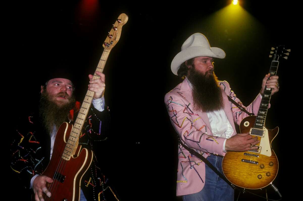 who played bass on hillbilly rock who played bass on hillbilly rock