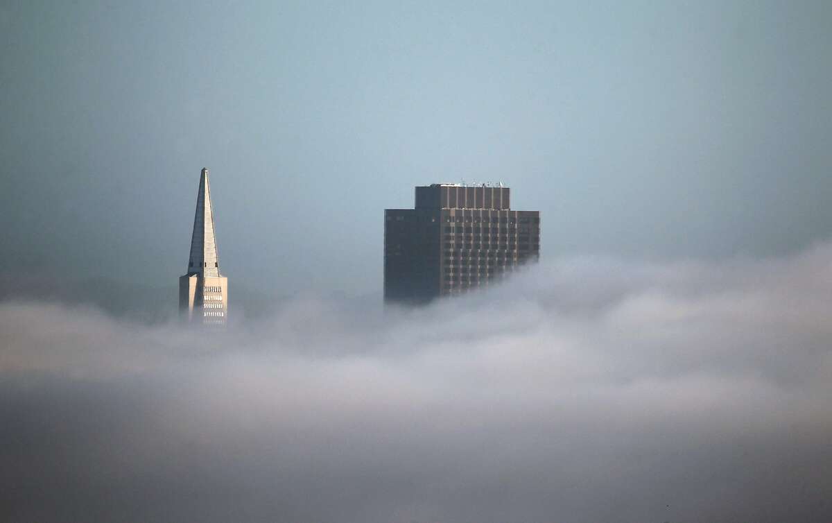The Transamerica Pyramid and 555 California skyscrapers rise above a low layer of fog in San Francisco, Calif. on Friday, Dec. 4, 2015.