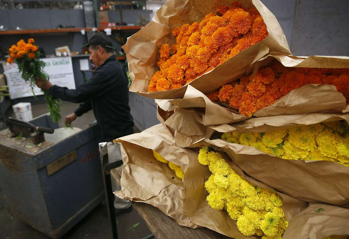 Joel Reza trims stems from marigolds sold by Skyline Flower Growers at the SF Flower Mart in San Francisco, Calif. on Thursday Oct. 26, 2017. Orange and Yellow blossoms are traditionally used in Dia de los Muertos celebrations.