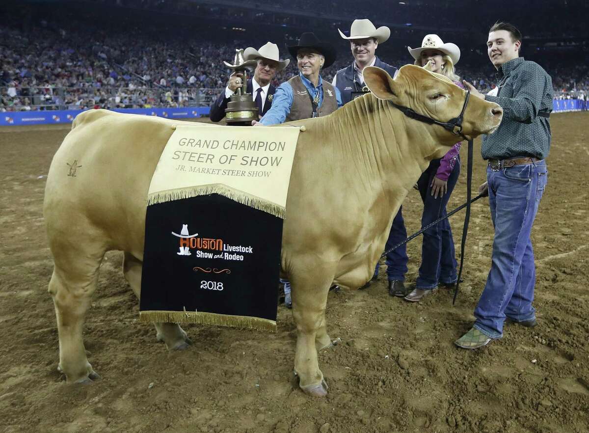 Champion steer sells for 410,000 at Rodeo auction