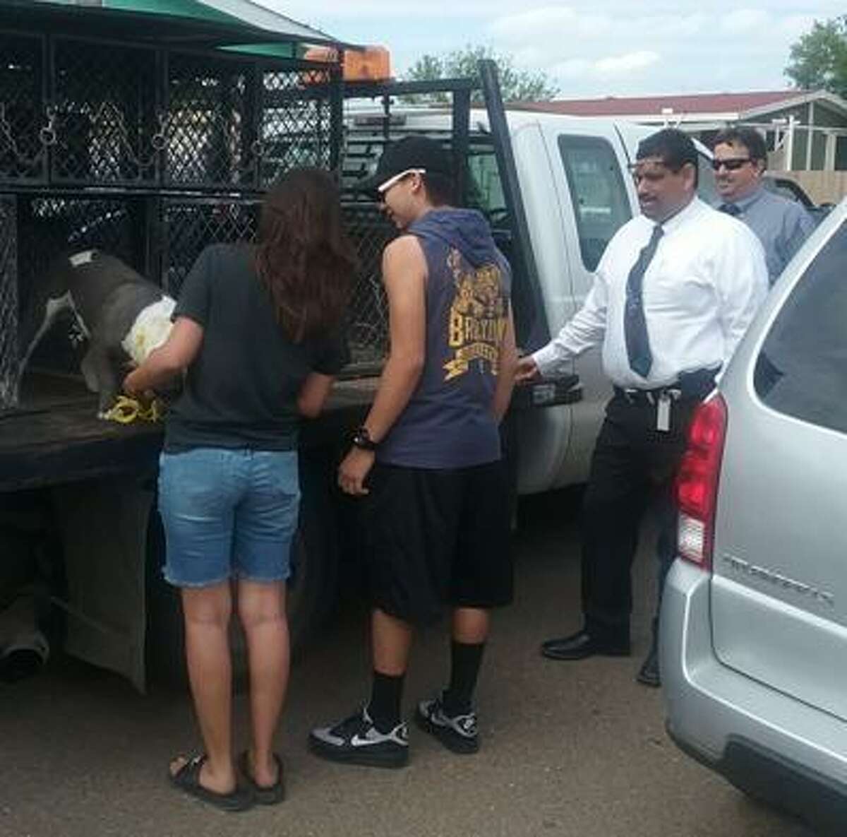 Laredo police said investigators recently recovered an American Bully and returned it to its owners. The dog had been reported stolen last year.