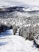 Tahoe Mountains Buried Under More Than 100 Inches Of Fresh Snow, More ...