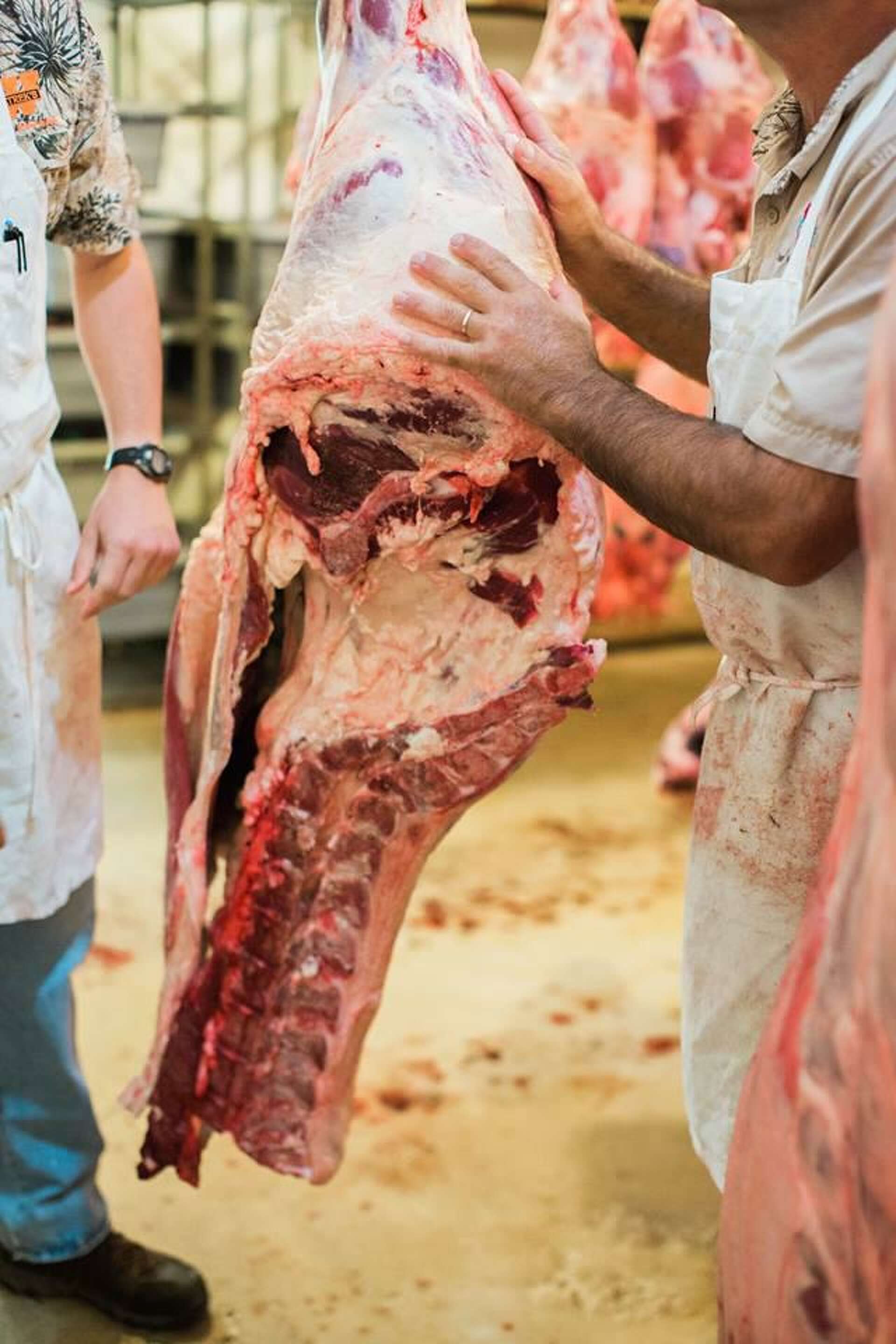Small Poth-based meat market expanding into San Antonio