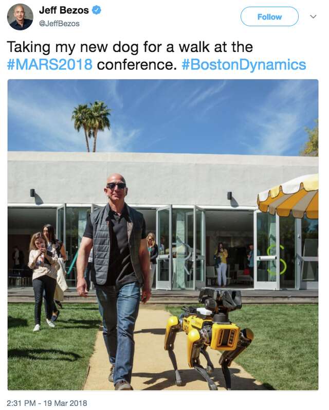 amazon robot dog