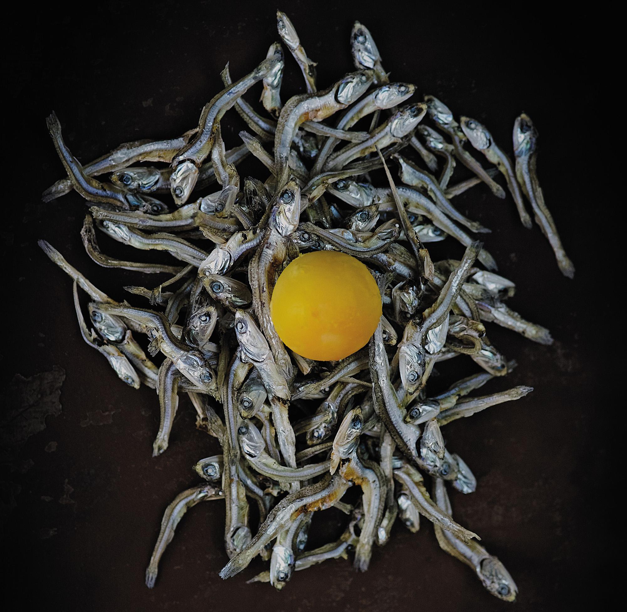 Recipe Deviled Eggs with Anchovy