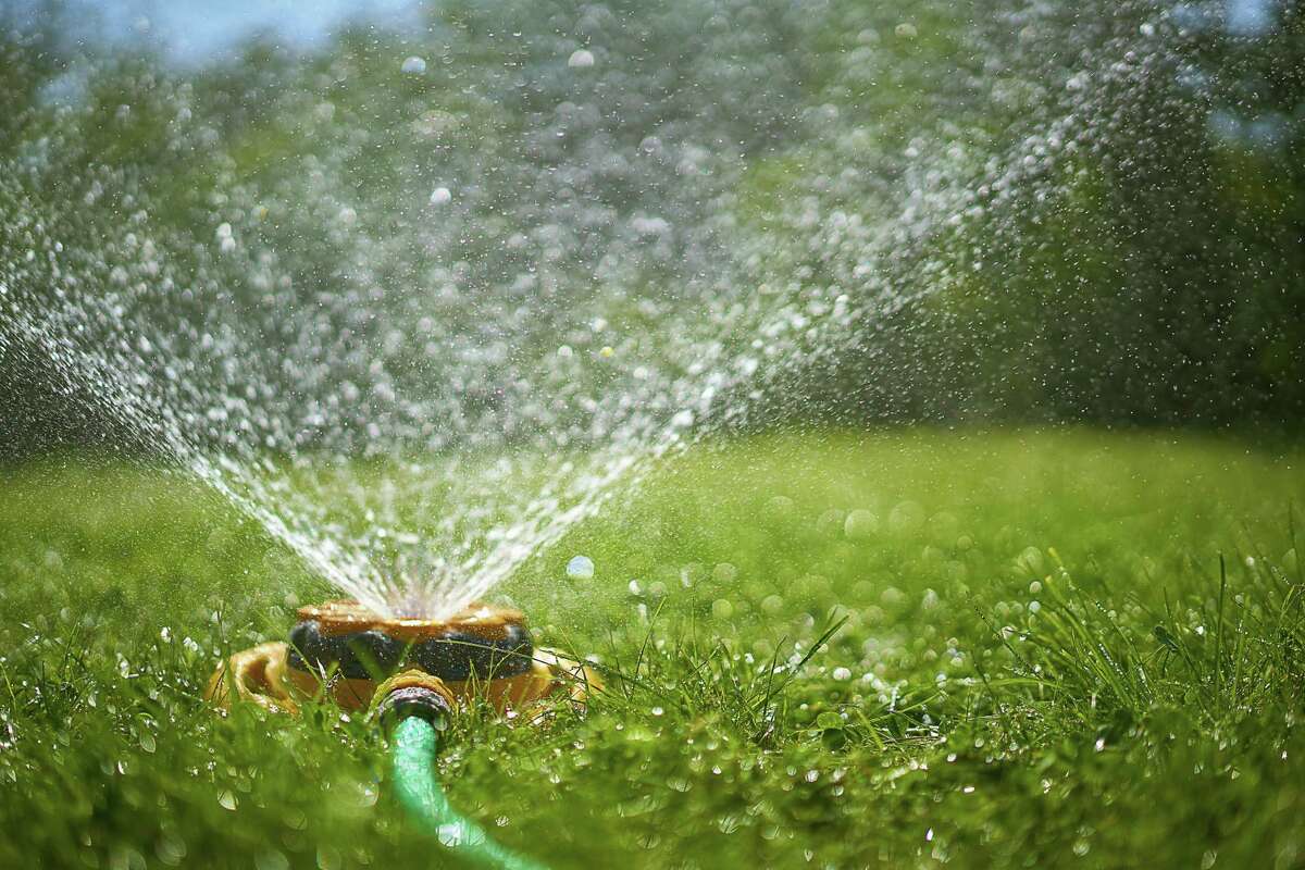 Follow SAWS recommended watering schedule, but use a handheld hose for areas that need more help.