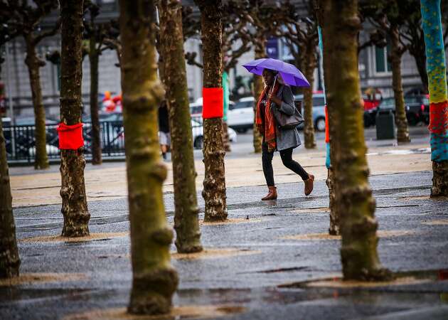 Strong storm brings Bay Area flood warnings, high wind advisories