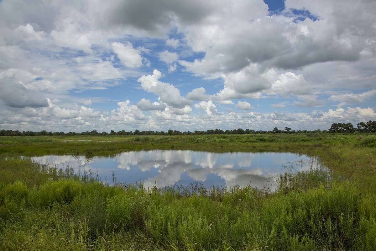 A wetland at the Indiangrass Preserve.