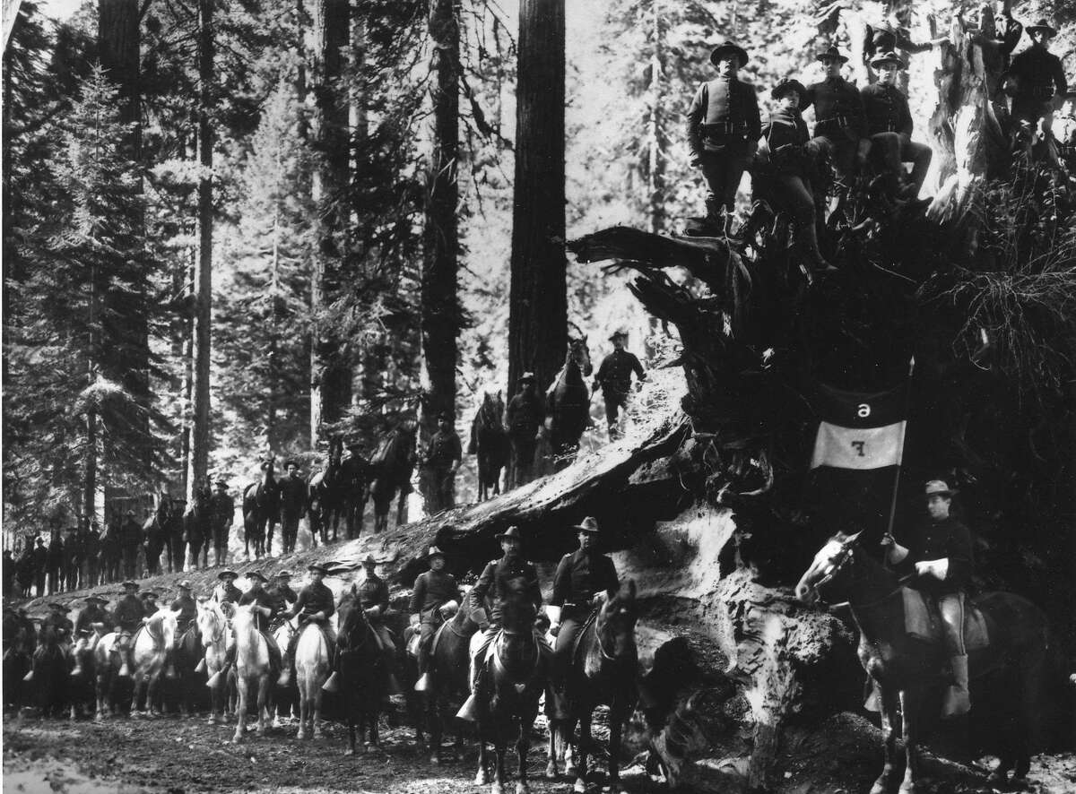 Troop F of the Sixth U.S. Cavalry from the Presidio of San Francisco at the Fallen Monarch in the Mariposa Grove of Yosemite National Park, in the 1890s Photo courtesy of the Presidio Army Museum Handout No credit