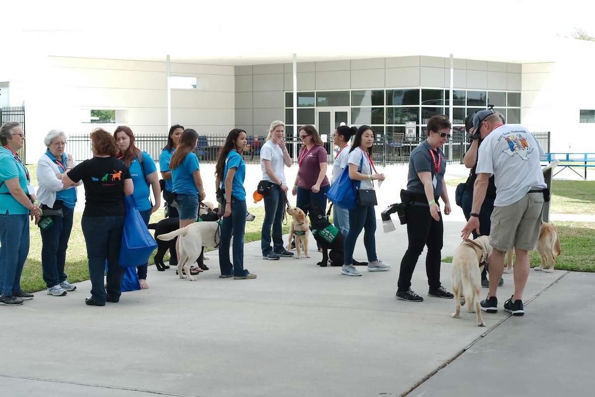 Guide Dogs for the Blind organization volunteers tour Space Center Houston with their guide dogs in training as the young dogs learn about crowds and public spaces Friday, Mar. 23.