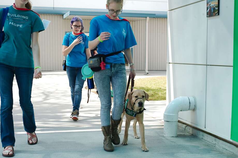 guide dogs for the blind learn about crowds and space at space