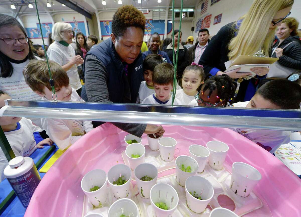 Judge and Conncan community organizer Toni Williams looks over the Columbus School First grade project, Lettuce Eat Produce, during the citywide STEM Expo Saturday, March 24, 2018, at Brien McMahon High School in Norwalk, Conn. The second annual citywide event, which is themed ?“Innovation,?” focused on the ability of students to think, question, design, create, struggle, collaborate, try, solve, invent, reflect and learn.