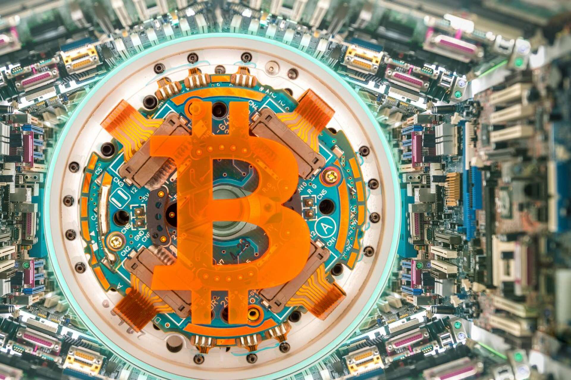 How to Protect Your Cryptocurrency Holdings (Infographic)