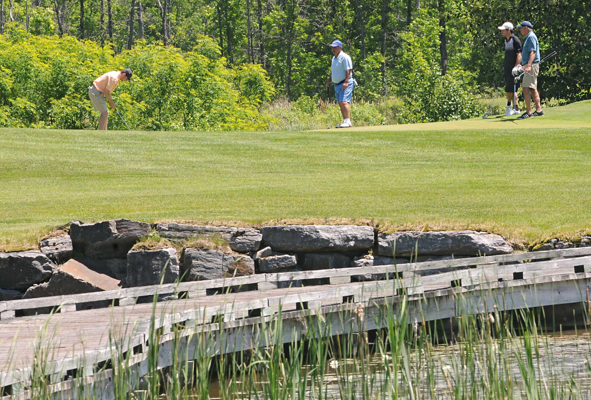 Protecting Birds and Bees: Potential Impact on Green Fairways