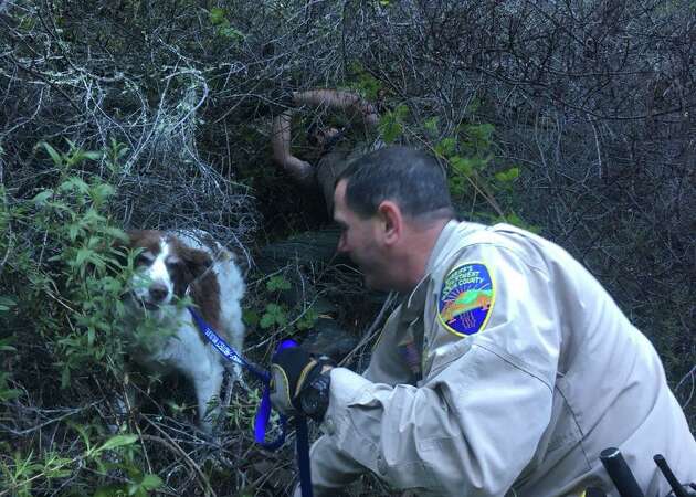 Lucky lost dog rescued by Marin police, rangers, firefighters