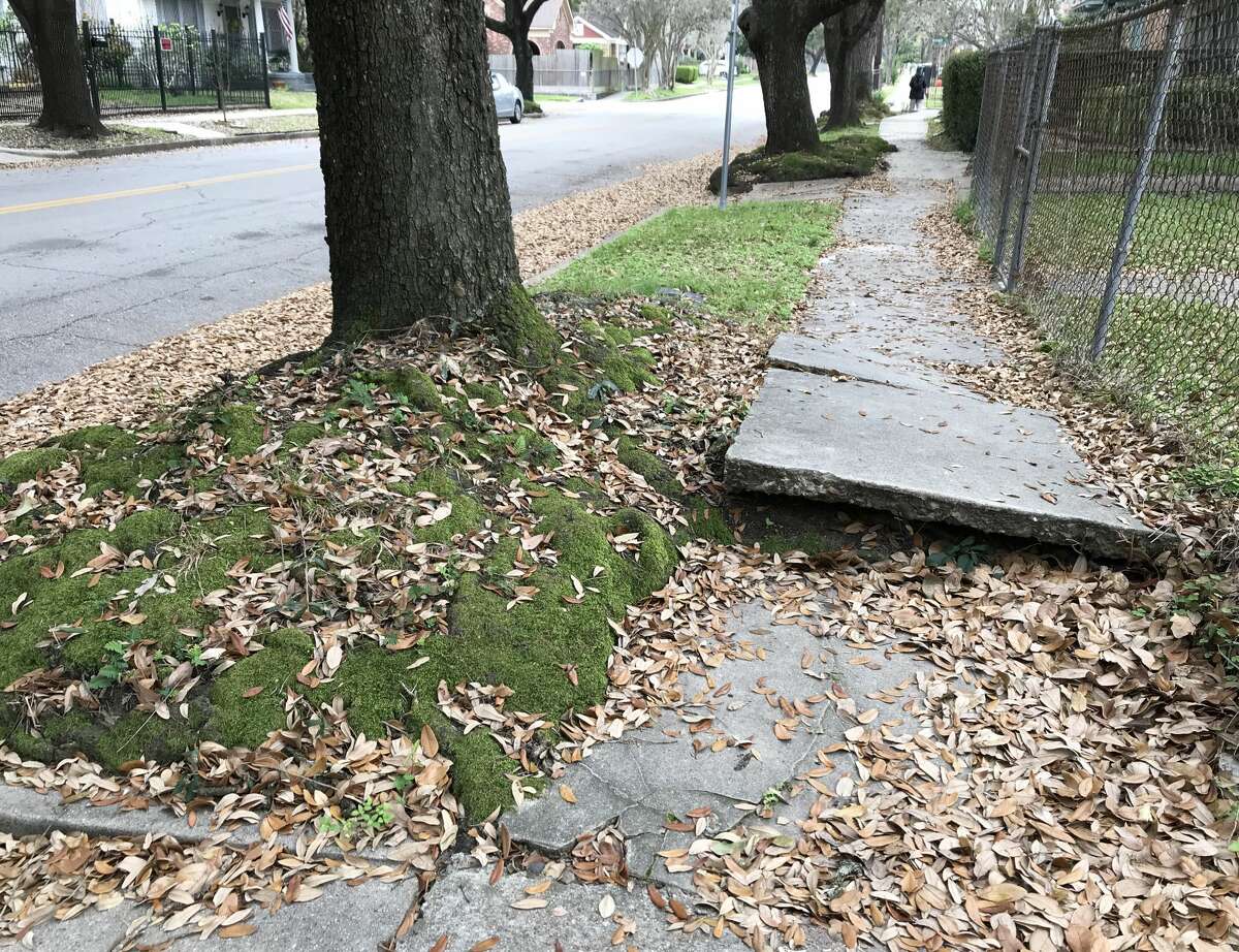 Houston's sidewalks are in notoriously bad shape.