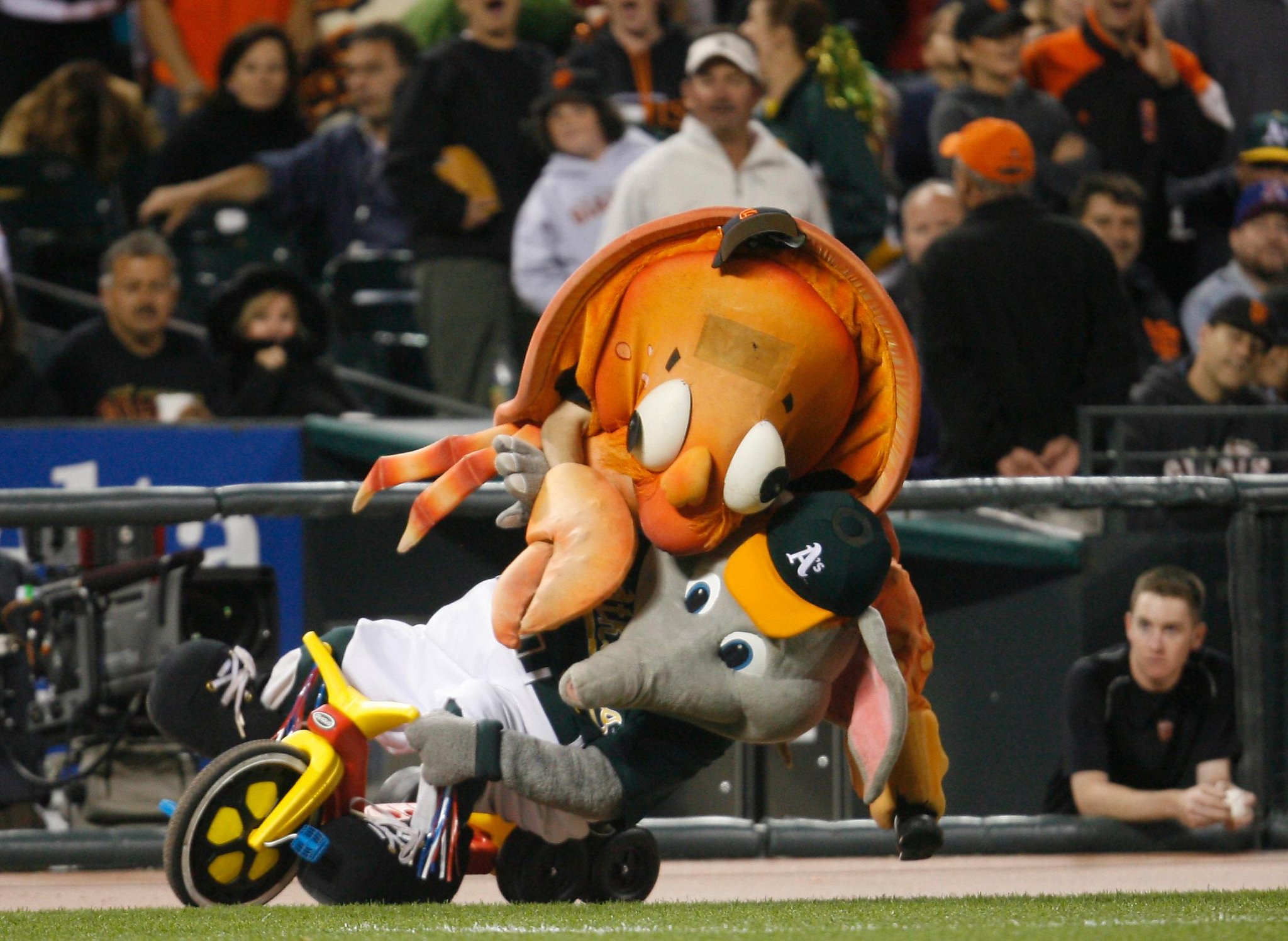 Which mascots make the grade? Is it possible that the Giants' Crazy Crab,  left, was the greatest team icon in the history of Bay Area sports? -  PressReader