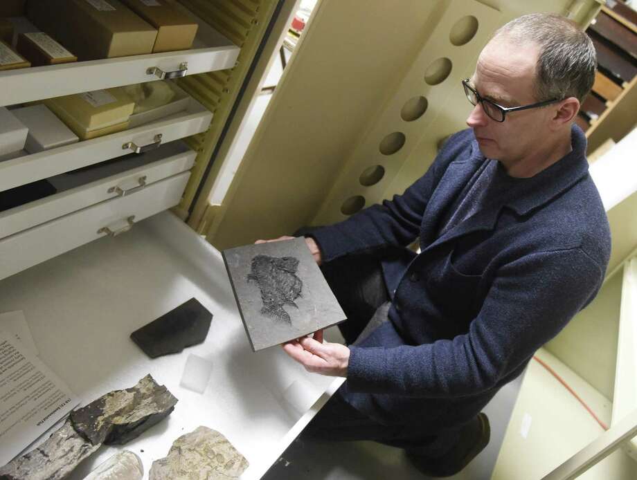 Expert donates massive fossil collection to The Bruce Museum
