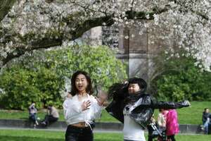 Photos: As cherry trees bloom, outlook for spring promising