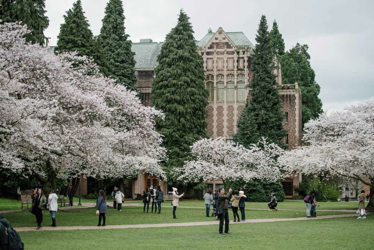 university of washington seattle acceptance gpa