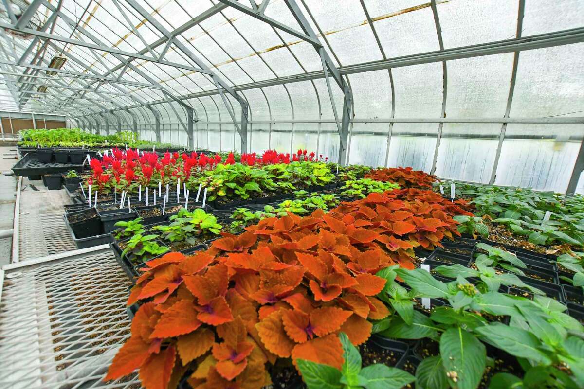 Recovery efforts continue at Mercer Botanic Gardens