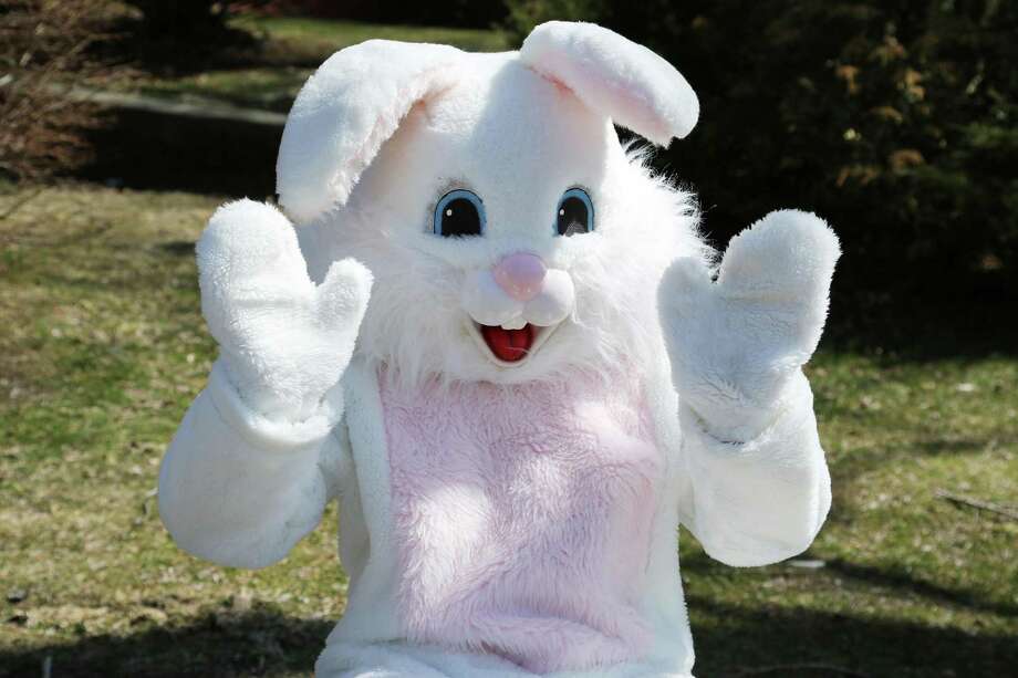 The Glenholme Hare. Photo: Contributed Photo