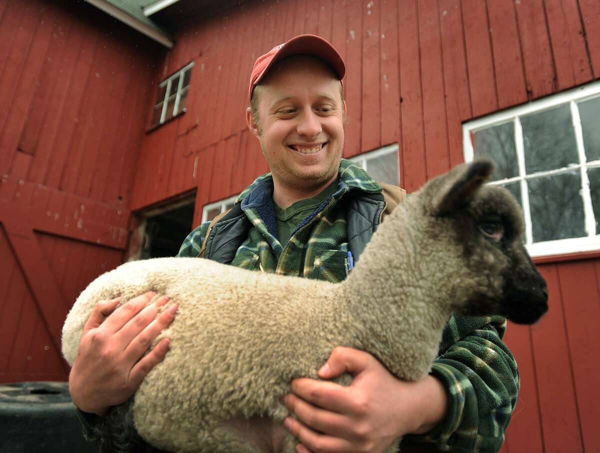 Lars Demander holds a lamb at his family’s Clover Nook Farm in Bethany Thursday.