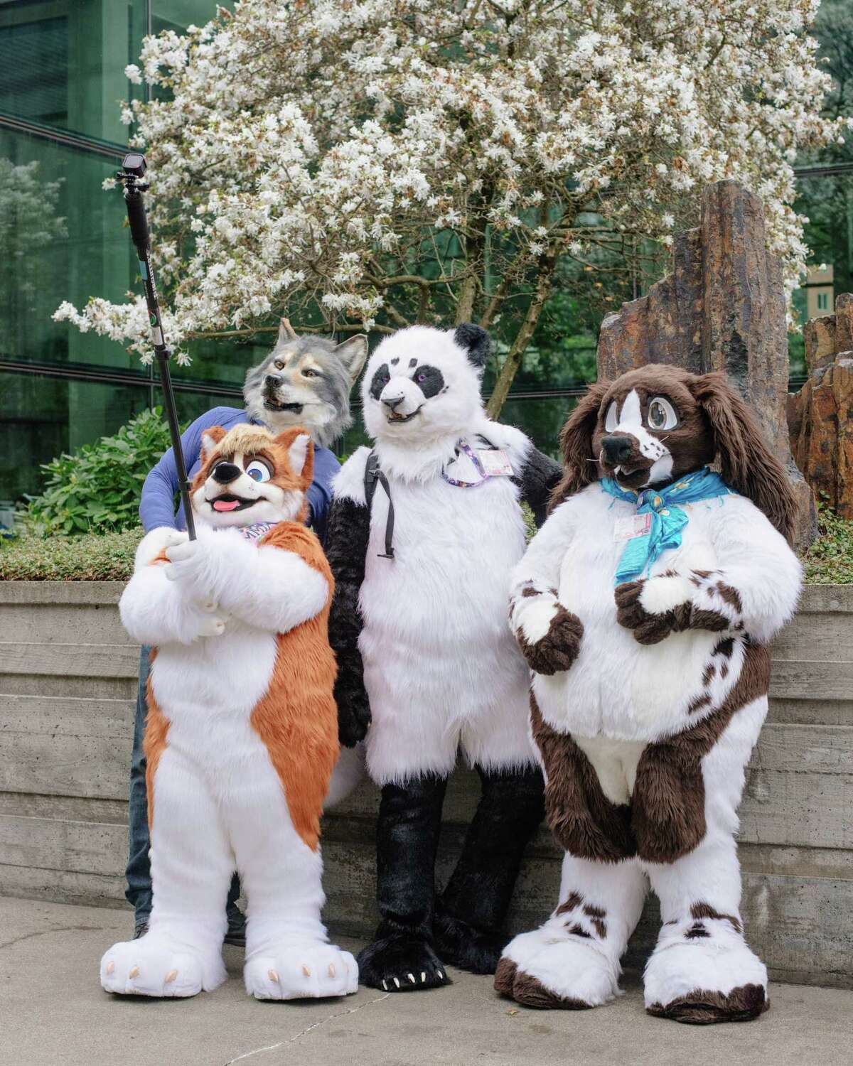 A group of furries takes a selfie on the final day of Sakura-Con, Seattle's annual anime convention, on Sunday, April 1, 2018.