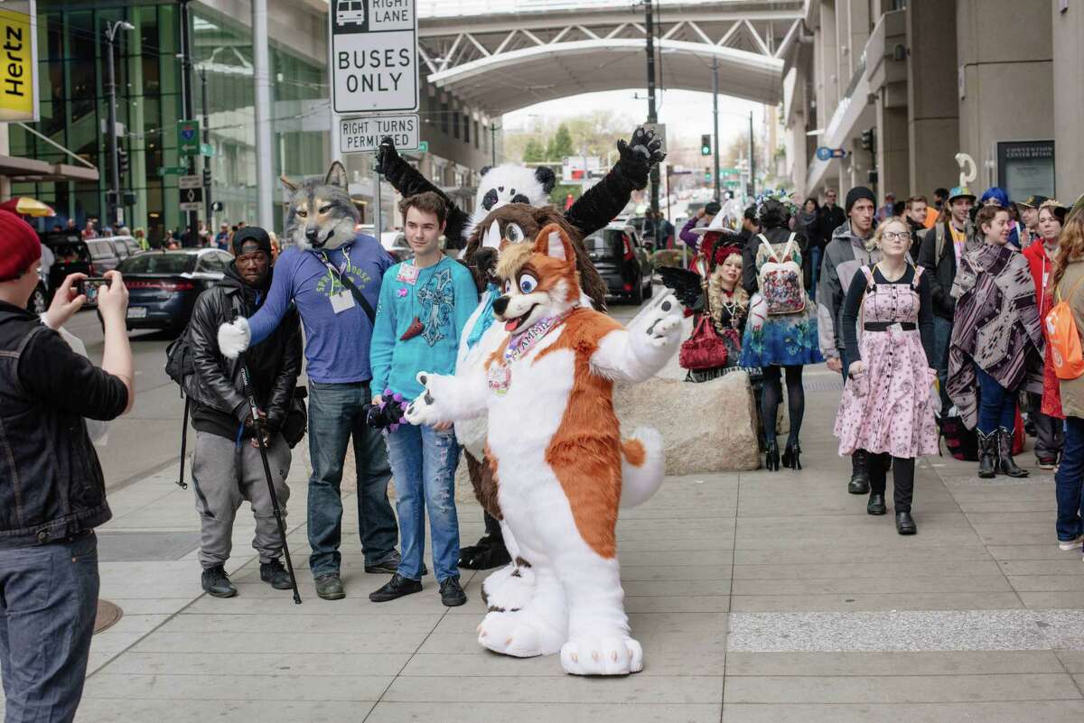 Video San Jose Furry Convention Attendees Help Make Domestic Violence