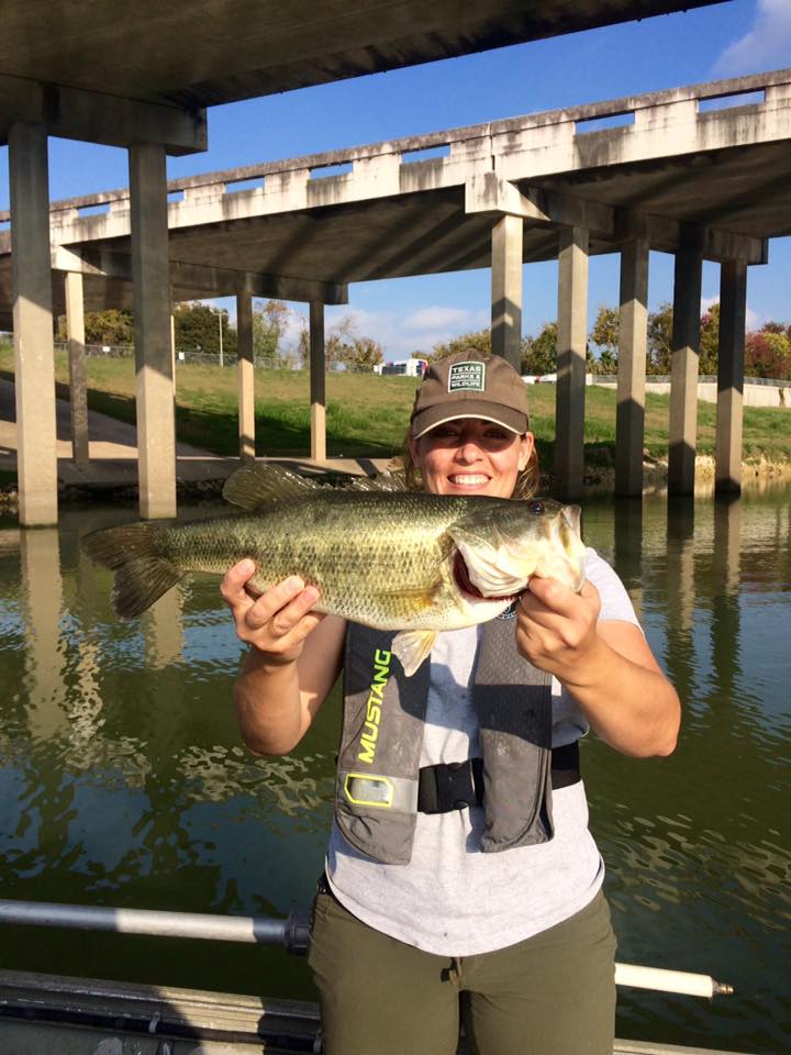 Fishing in the city? Here's what lurks in Houston's Brays Bayou