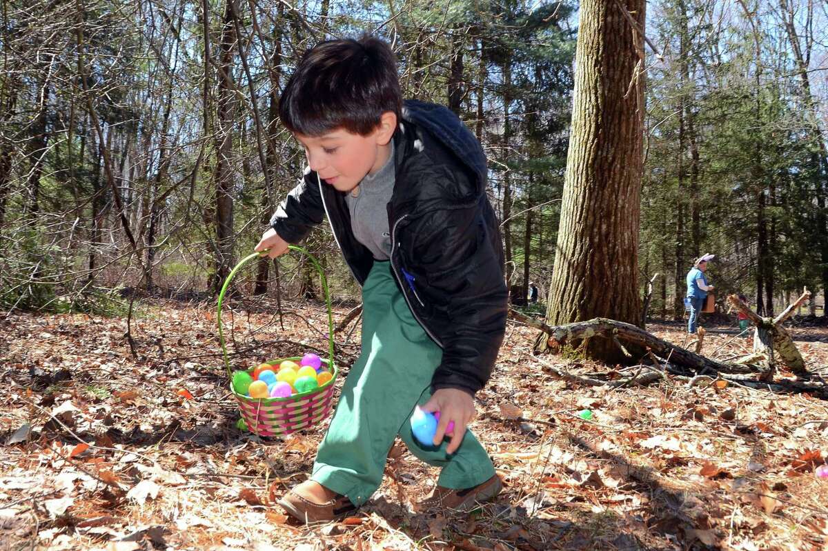 Egg Hunt, Fairfield The annual Egg Hunt includes activities for the whole family as well as socially distanced visits with the Easter Bunny. It takes place at the Connecticut Audubon Society Center at Fairfield on Saturday. Find out more about the egg hunt here.