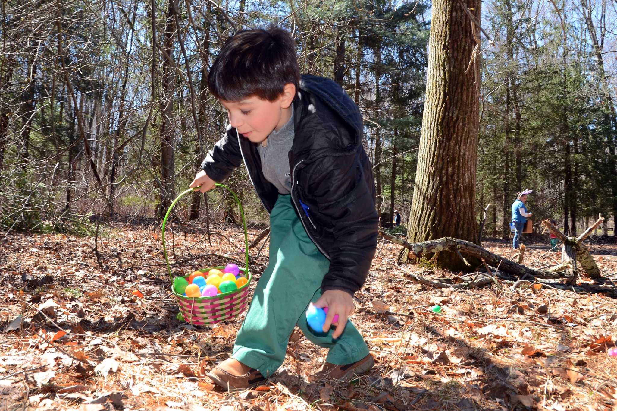 25 things to do this weekend in Connecticut, April 15 - Vimarsana News