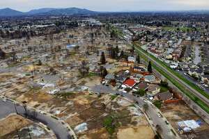 Signs of life amid scars and loss in Sonoma County - Photo