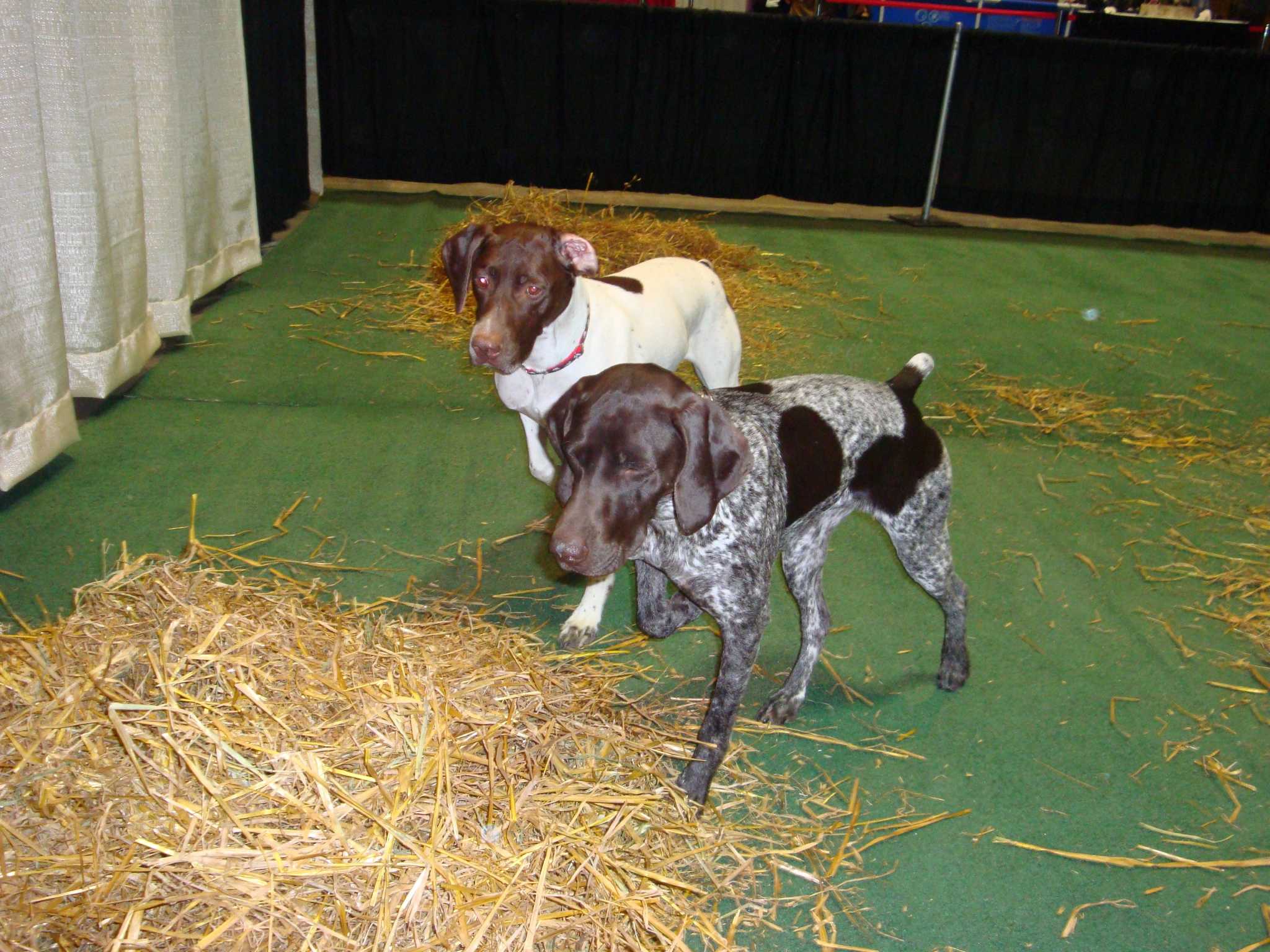 Northeast Fishing and Hunting Show coming to Hartford April 68