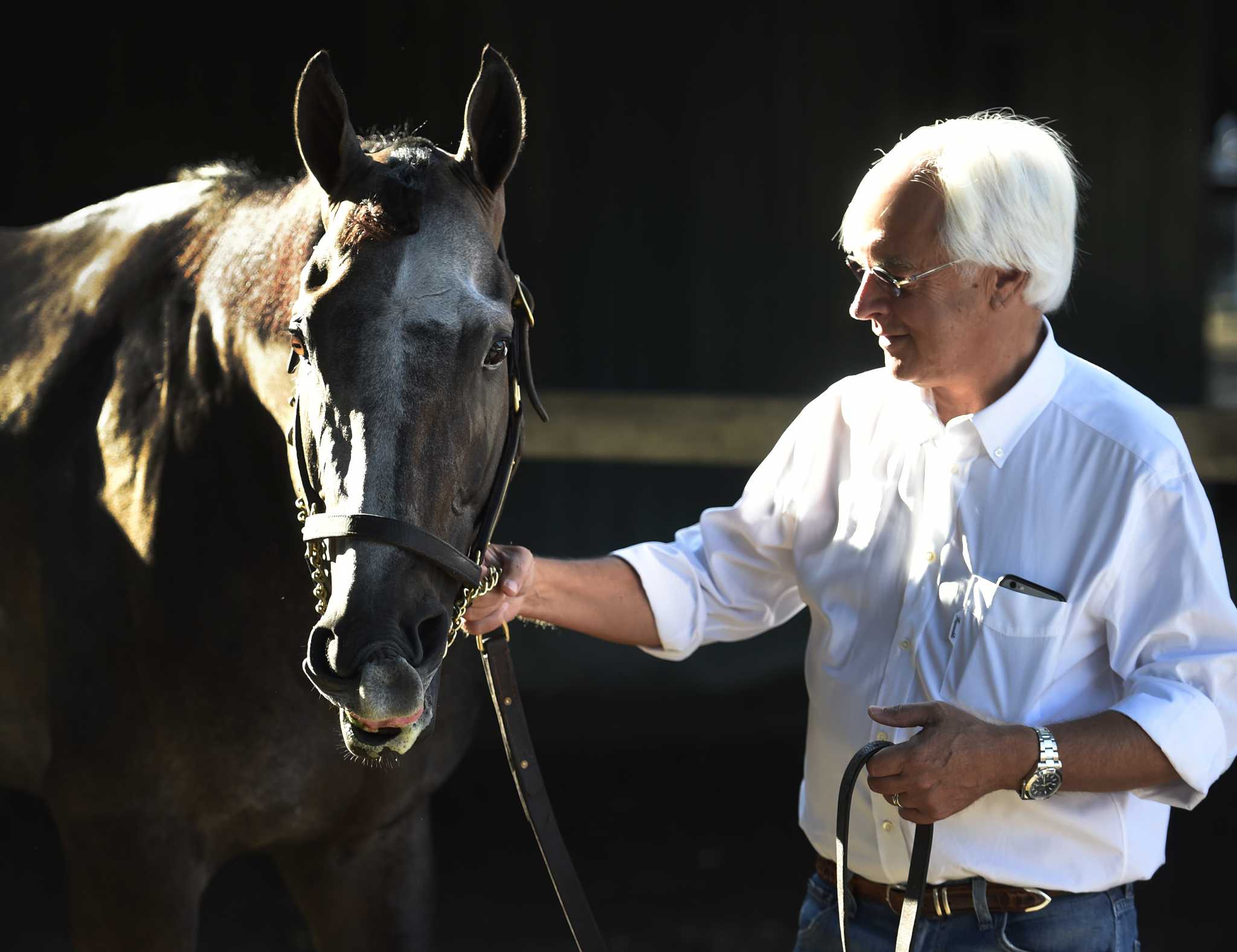 Arrogate, 2016 Travers winner, dies at age 7