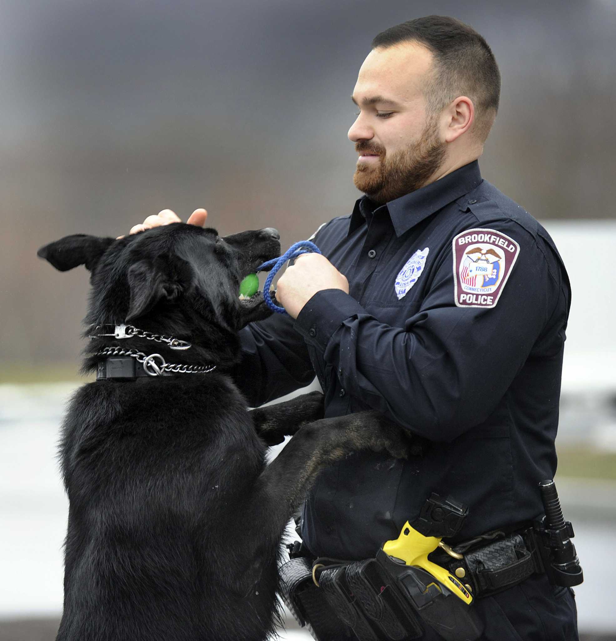 Brookfield pd s k 9 remains on patrol after cancer diagnosis