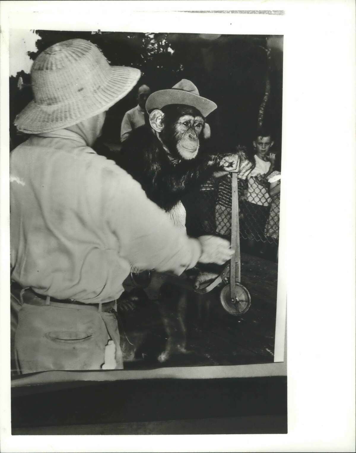 See how the Houston Zoo has evolved over the past 100 years