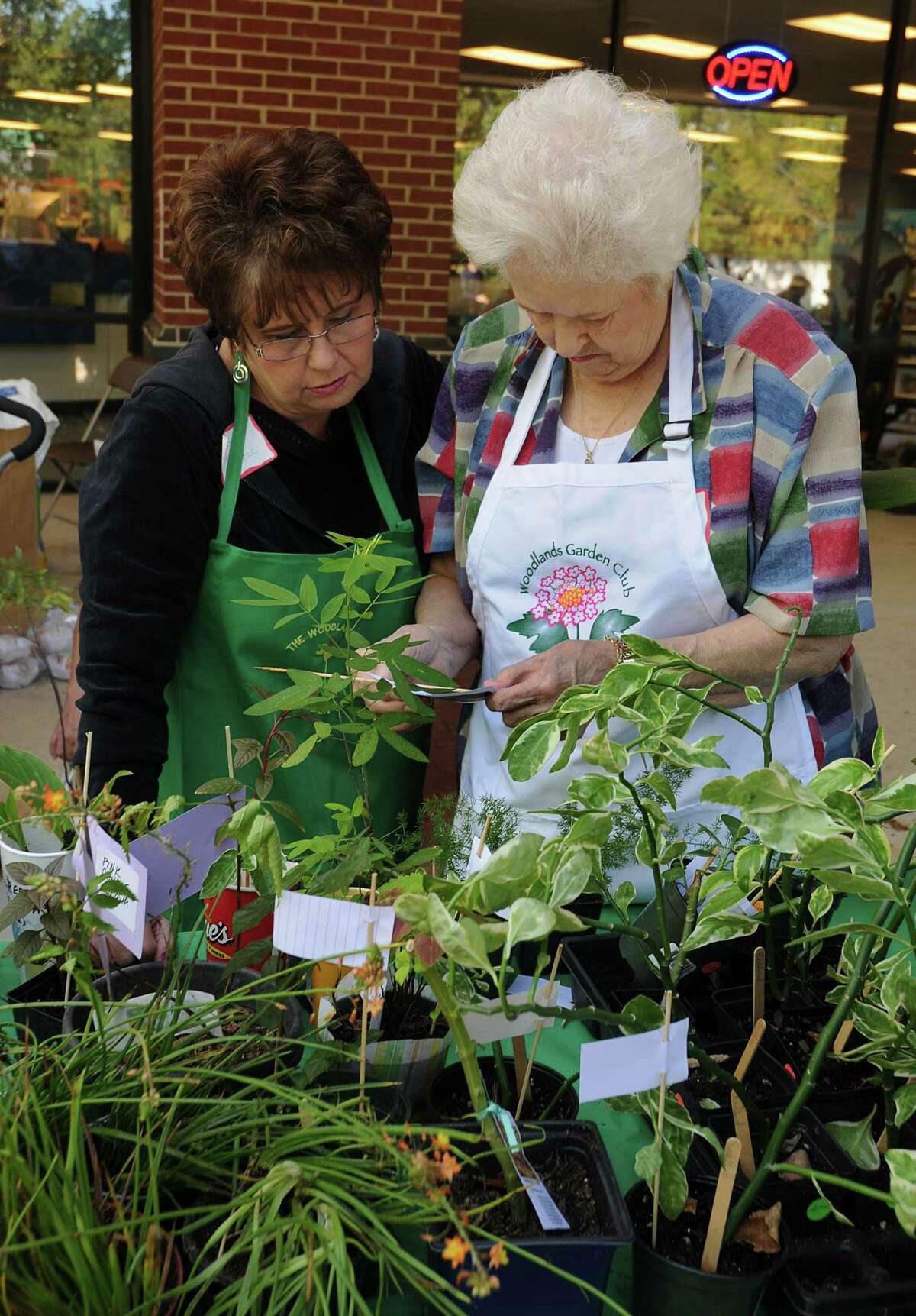 The Woodlands Garden Club members Mary Vacek and Khris Brown check a plant brochure for a guest during The Woodlands Wildflower Festival, which is hosted at the Cochran's Crossing Shopping Center. The festival is one of many community events in the village.
