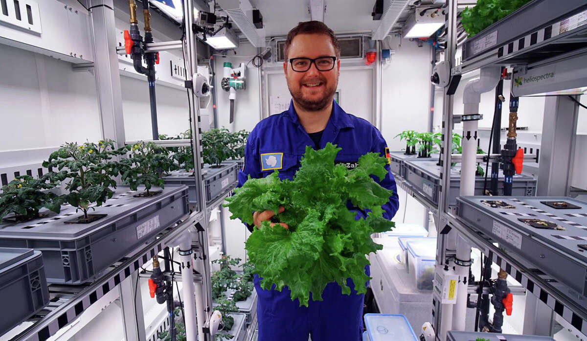 German aerospace center (DLR) engineer Paul Zabel shows off fresh salad he harvested in the EDEN-ISS greenhouse at the Neumeyer-Station III on Antarctica