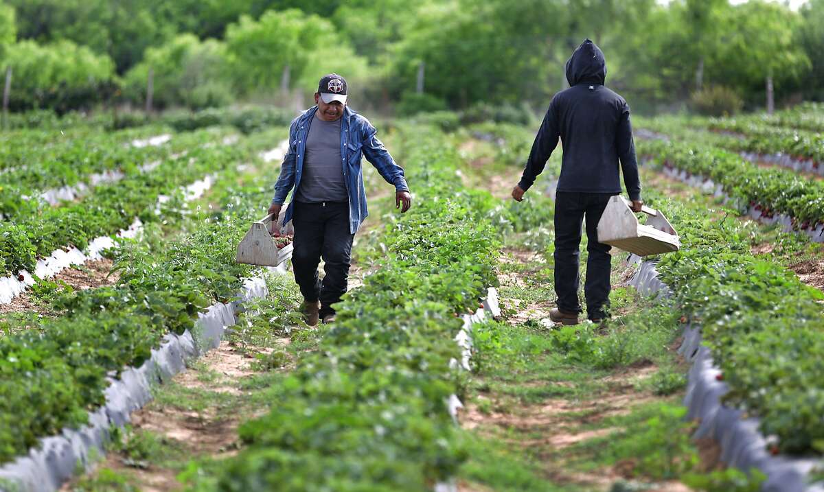 20 Bexar County ZIP codes with the highest average property value