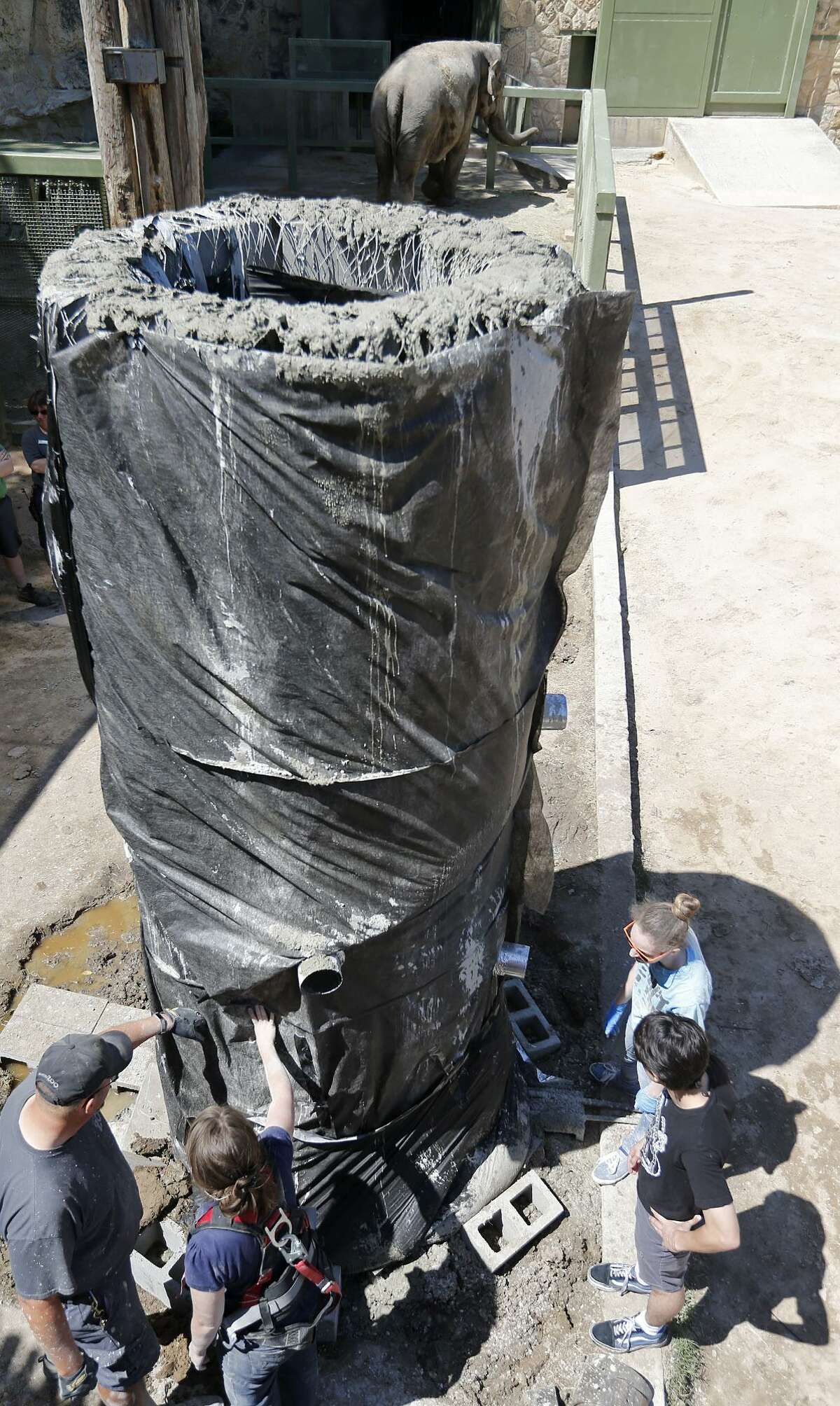 San Antonio Zoo Director of Mammals Jonathan Reding (from left), UTSA assistant research professor Gold Darr Hood and UTSA students David Mata and Julie Griffee build a shower for the elephants in their exhibit Friday March 30, 2018 at the San Antonio Zoo.