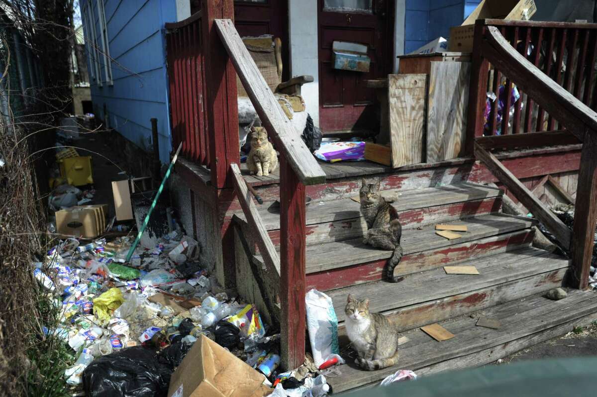 Stray cats on the front porch of a blighted home on Shelton Street in Bridgeport, Conn. on Tuesday, March 27, 2018.