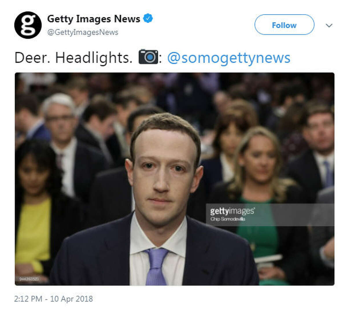 Social media reacts Zuckerberg's Senate testimony with memes, theories