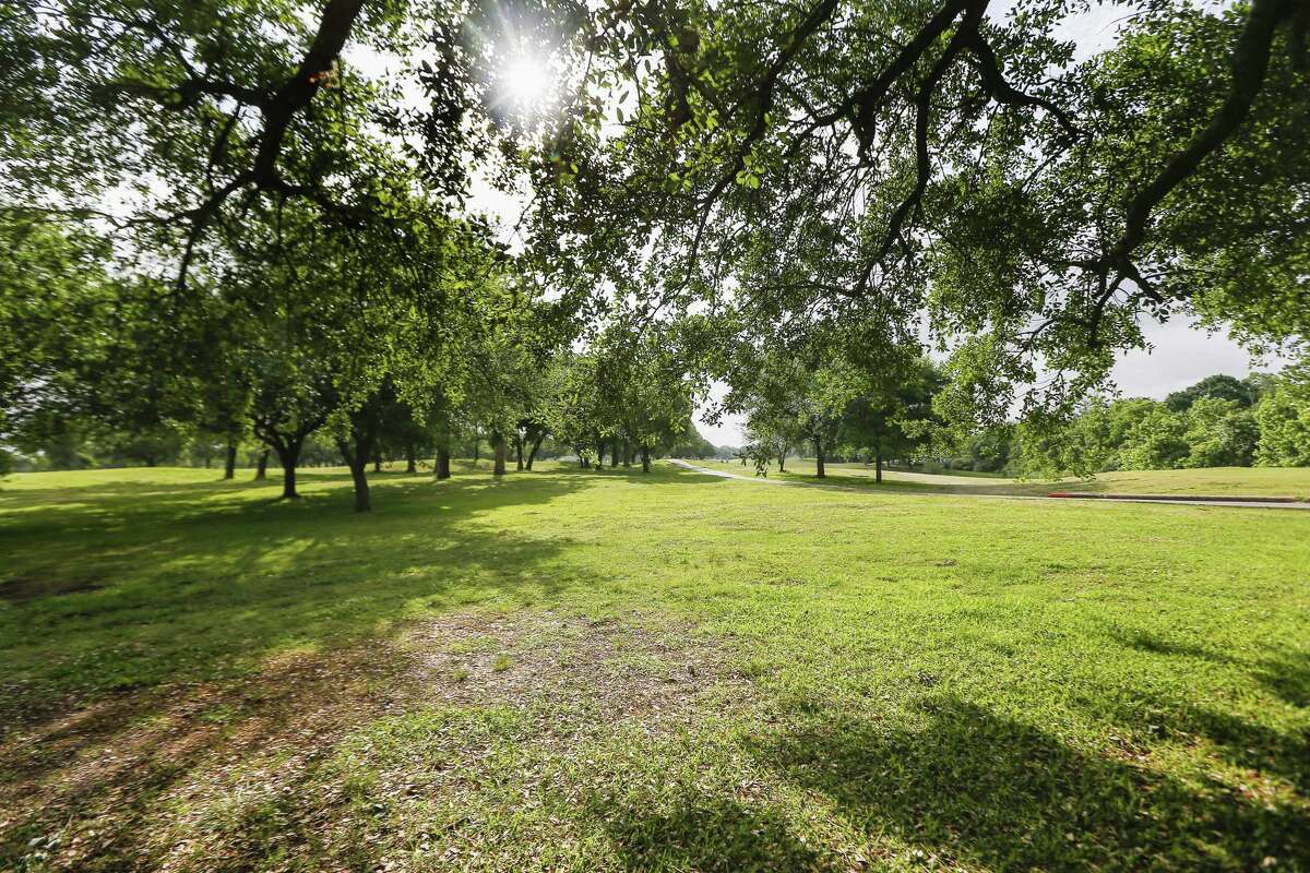 Houston Botanic Garden takes root with a tree farm