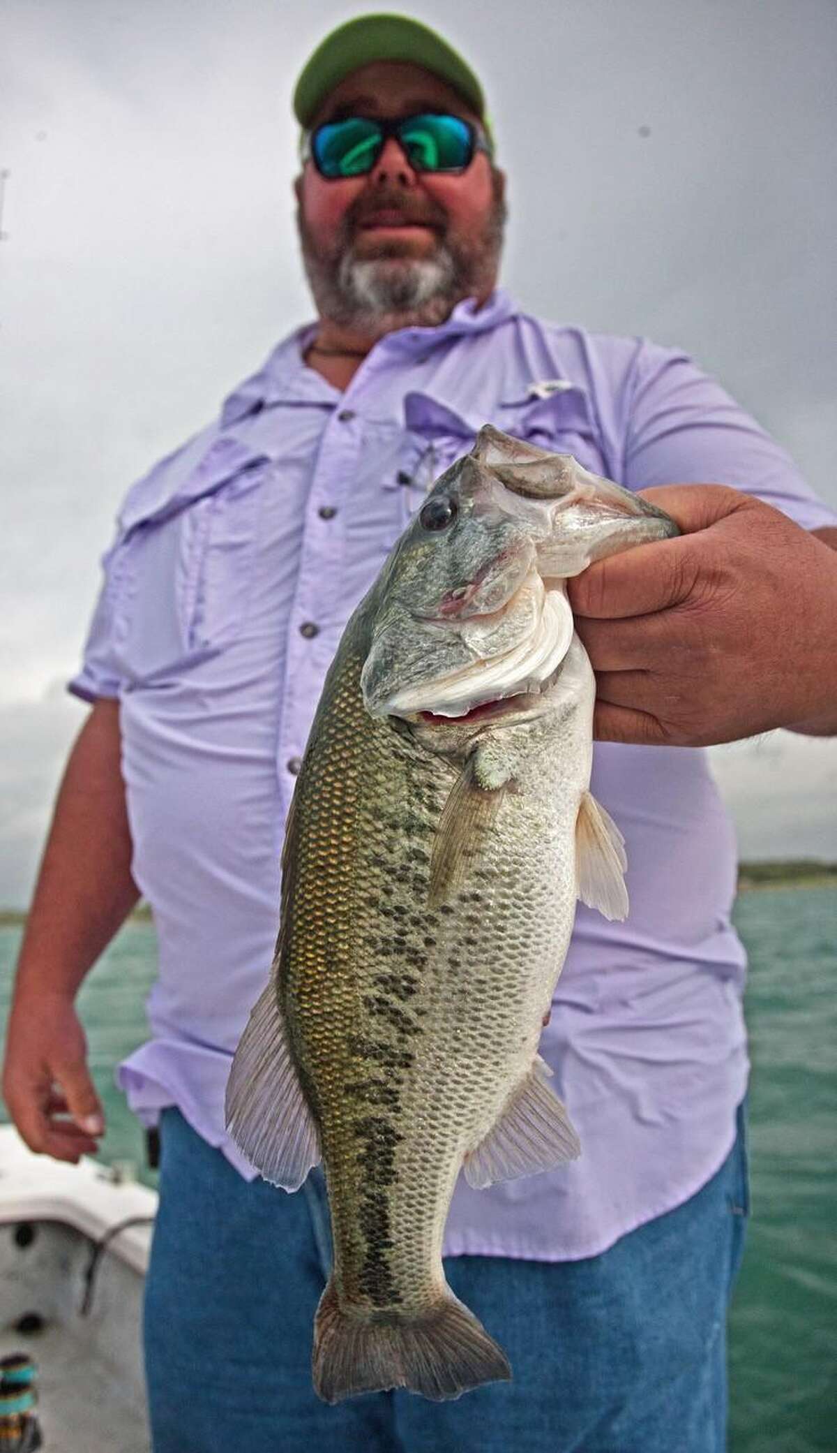 Stripers on horizon, but it’s white bass now at Canyon Lake