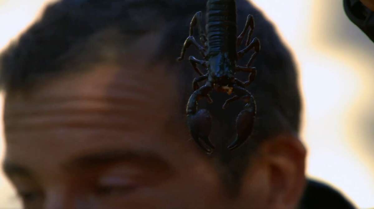 Bear Grylls and a scorpion on "Bear Grylls: Face the Wild" (screen grab from facebook.com/FaceTheWild)
